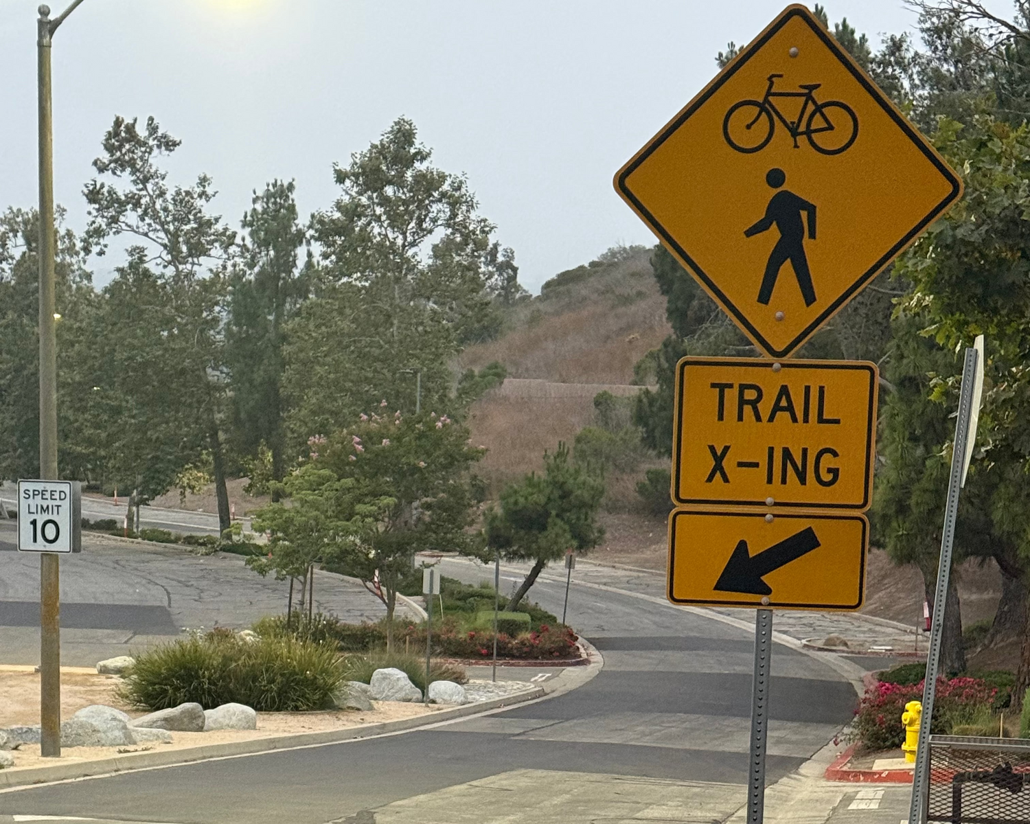 Trail crossing sign with bicycle and pedestrian symbol on a road intersection.
